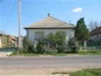 Homrogd030926 121.jpg (89kb)